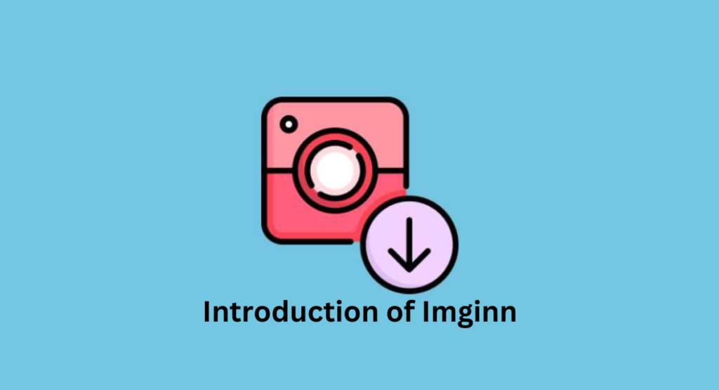 Introduction of Imginn